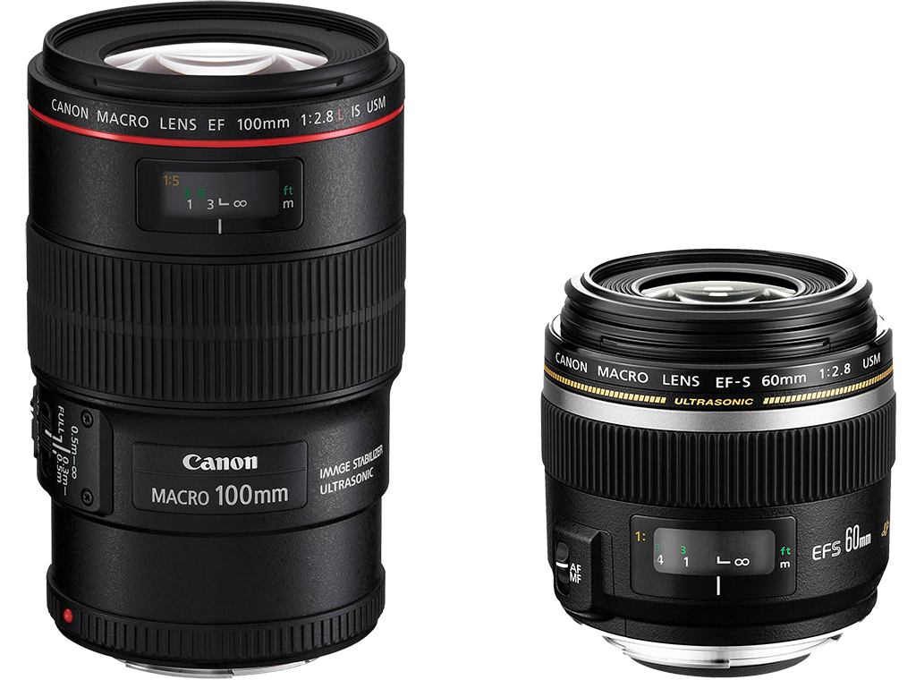 Canon macro 2.8 l is usm. Canon объектив Canon EF 100mm f/2.8l macro is USM. Макрообъектив Canon 100. EF 100mm f/2.8l macro is USM. Объектив Кэнон 100 2.8 л макро.